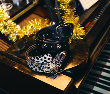 Accessoires Scintillants